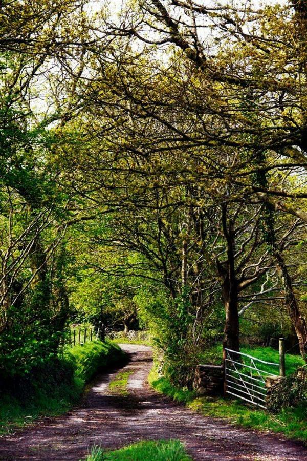 Cilhendre Holiday Cottages - The Dairy Swansea Esterno foto