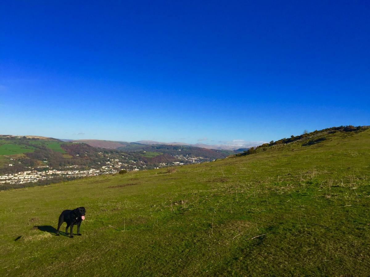 Cilhendre Holiday Cottages - The Dairy Swansea Esterno foto